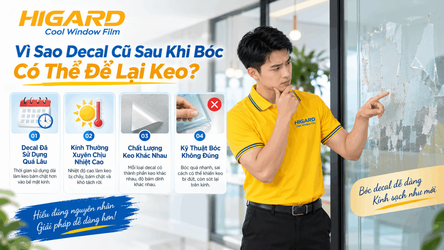 A-Z decal mờ vân sóng 3d độ bền vệ sinh và cách bóc decal