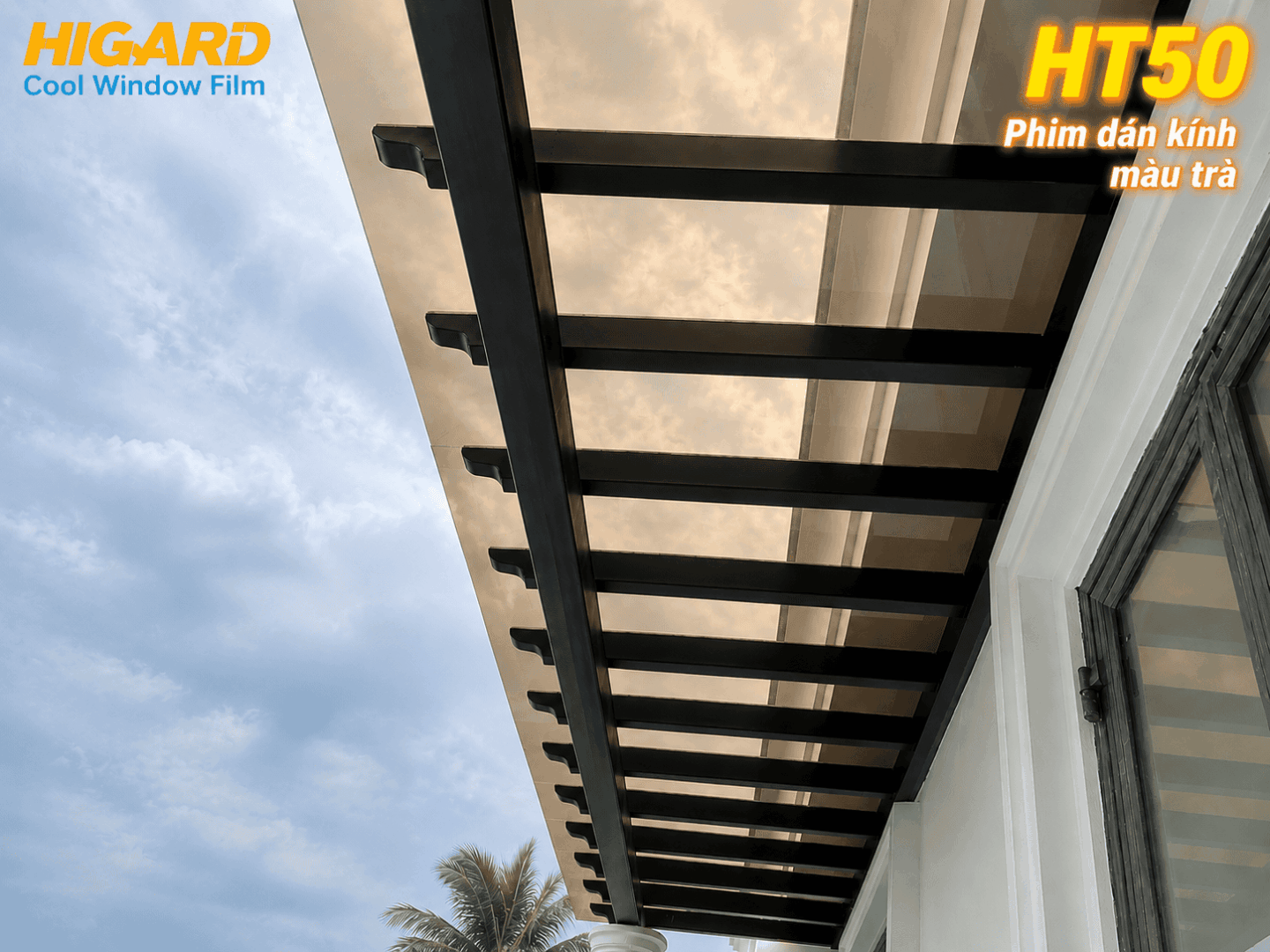 Thi công Phim Dán Kính Màu Trà Higard chuyên nghiệp