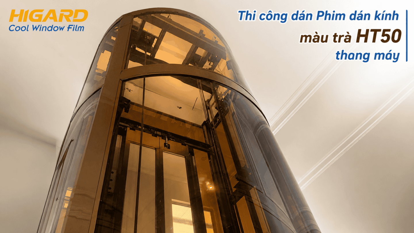 Decal Màu Trà Higard dán kính trang trí hiện đại