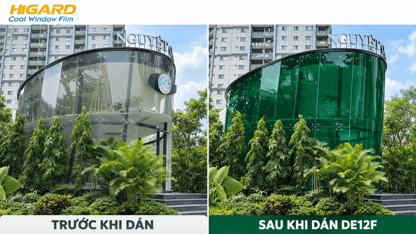 Khách ngồi trong quán Cafe Nguyệt Quế bên vách kính dán phim xanh lá DE12F