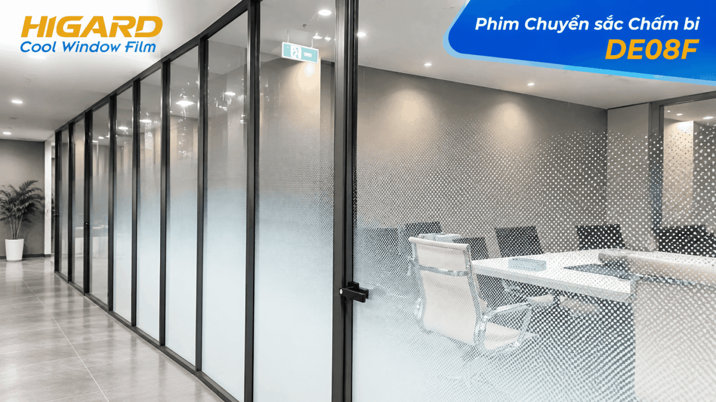 Decal chấm bi 1 đầu dán vách kính phòng họp văn phòng