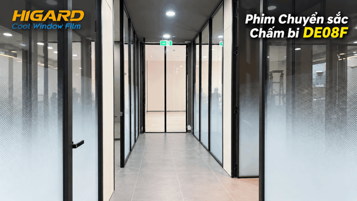 Vách kính văn phòng sau khi dán decal chấm bi 1 đầu DE08F